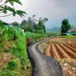 Pembangunan Pengaspalan Jalan Lingkungan di RT 02 RW 04 Desa Cisaat Rampung, Gunakan Dana Desa Tahap I