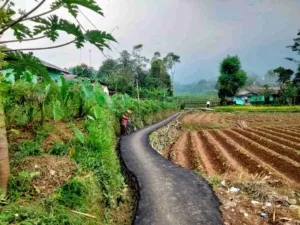 Pembangunan Pengaspalan Jalan Lingkungan di RT 02 RW 04 Desa Cisaat Rampung, Gunakan Dana Desa Tahap I